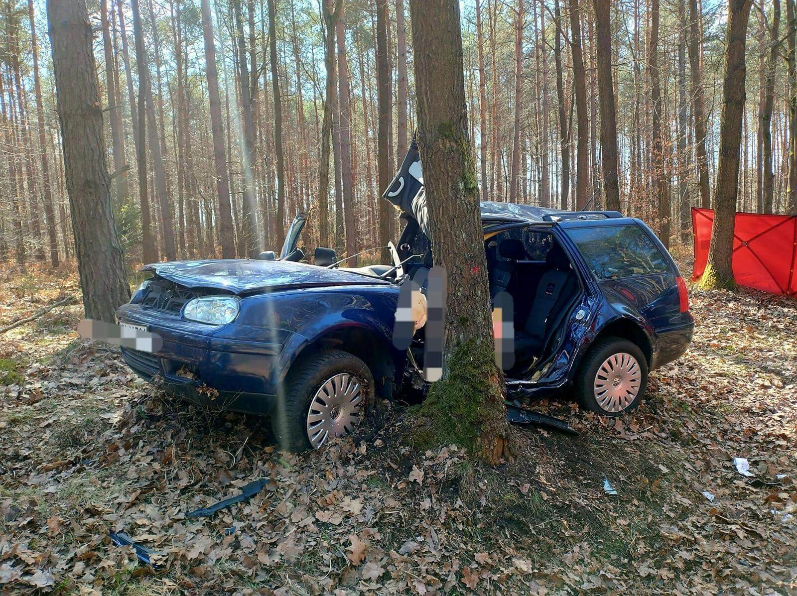 Wypadek DW 425 pomiędzy Kuźnią Raciborską a Rudą Kozielską