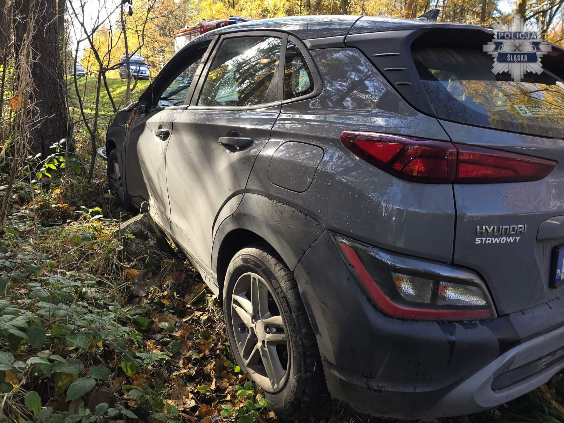 Wypadek rowerzysty w Kobiórze