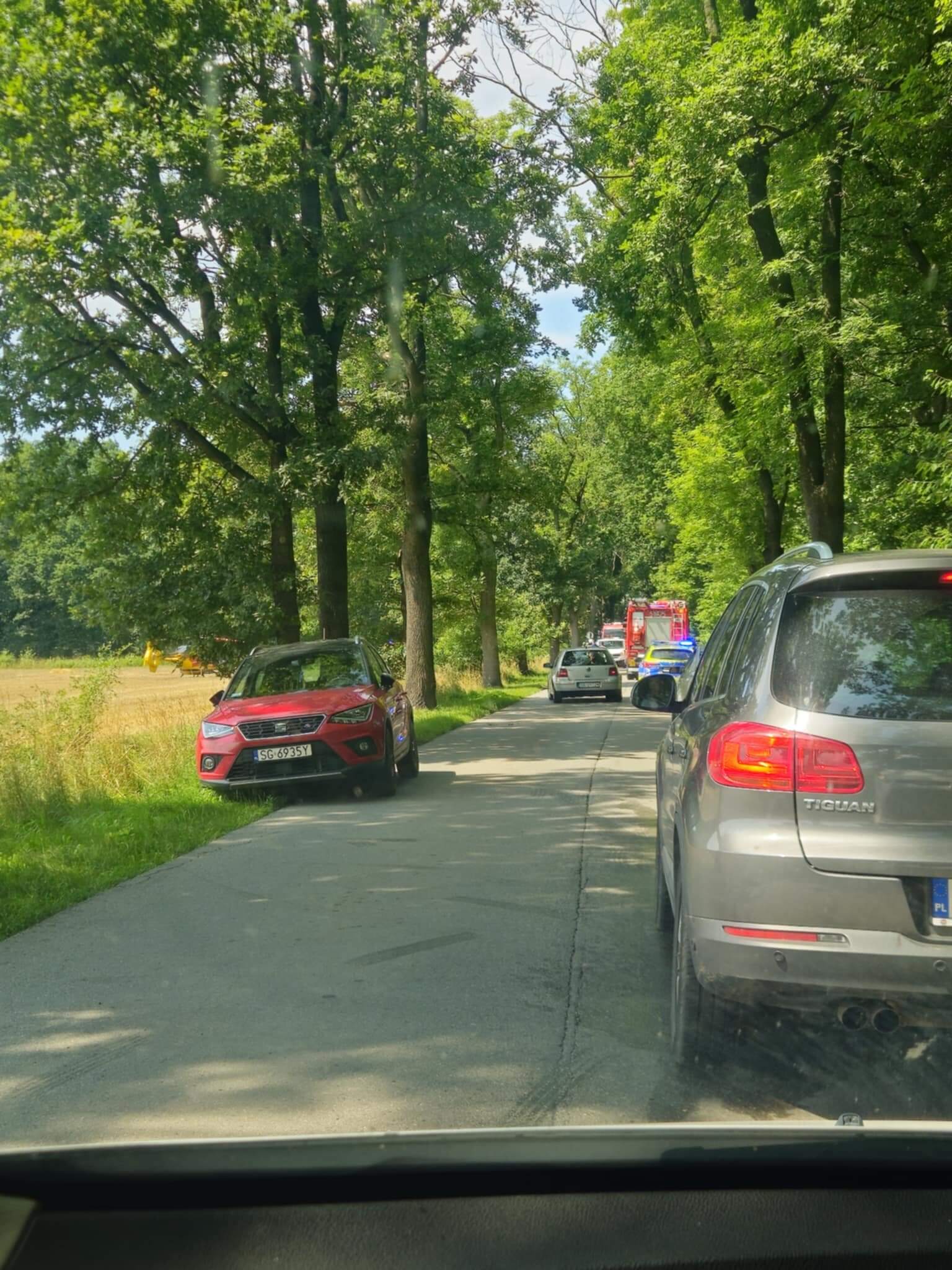 Wypadek smiertelny Mikolow Darwina 1