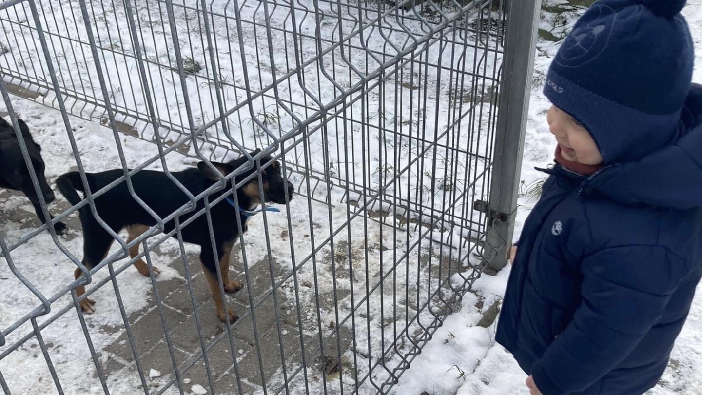 ZBIORKA DLA FAUNY