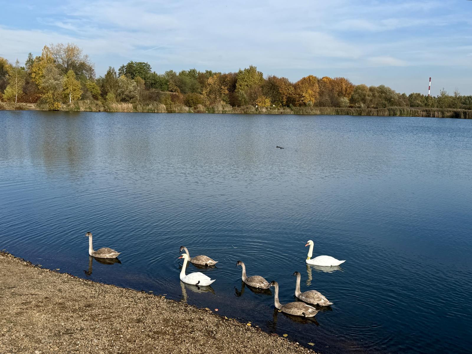 Żabie Doły jesienią 2025