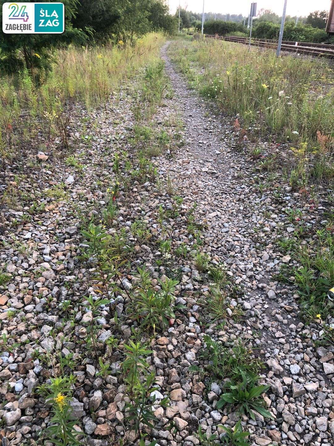 Zabrze-Zaborze. Ścieżka przy torach kolejowych kolei piaskowej. Test nawigacji rowerowych: Google Maps, Apple Maps, Mapy.cz. Zdjęcia z trasy. 9 sierpnia 2025.