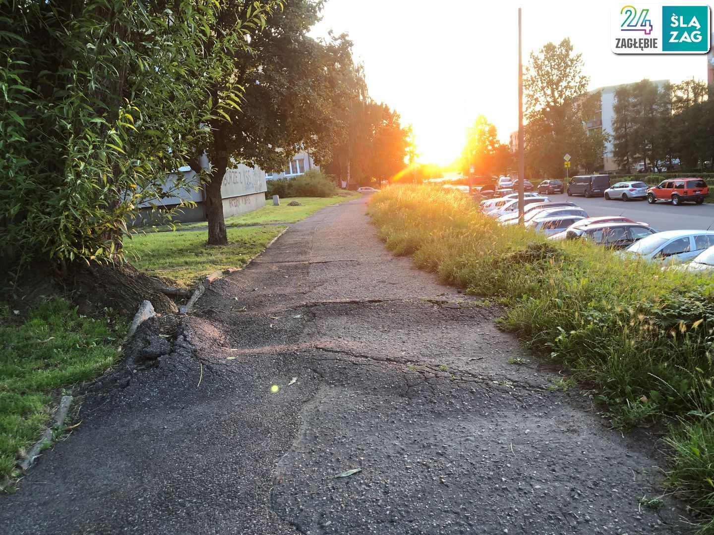 Zabrze-Zaborze. Osobliwy chodnik przy ulicy Leszczynowej. Test nawigacji rowerowych: Google Maps, Apple Maps, Mapy.cz. Zdjęcia z trasy. 9 sierpnia 2025.