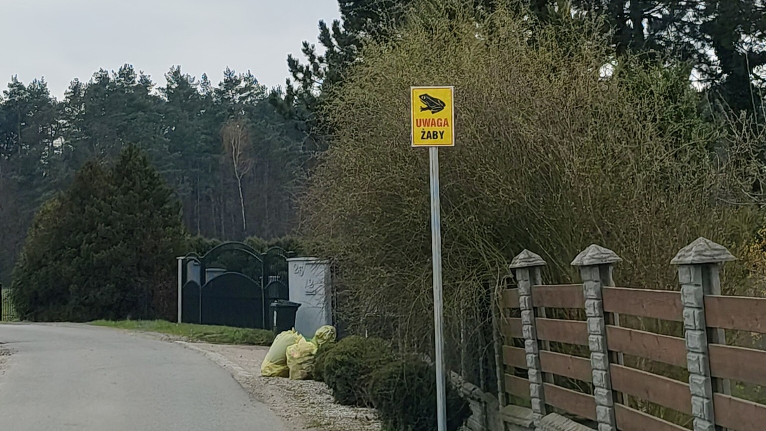 Gmina Wyry postanowiła zadbać o swoich dzikich mieszkańców, w tym o ropuchy