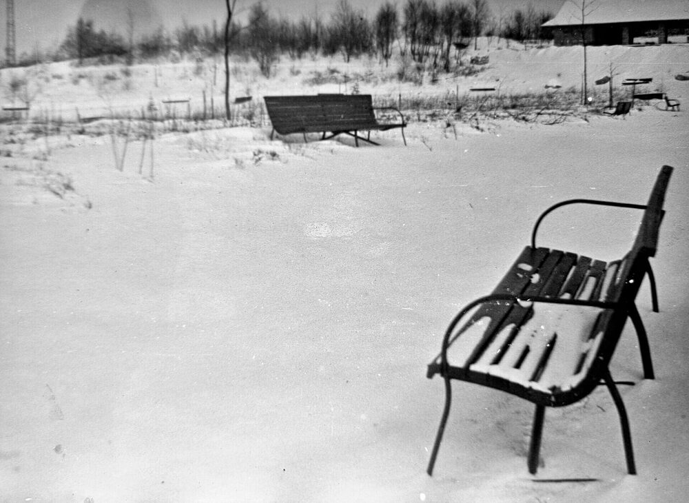 Park Śląski. Tego już nie ma lub zmieniło się do niepoznania