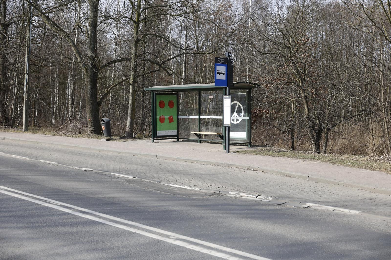 Zatoka autobusowa, ul. Szopienicka, Katowice