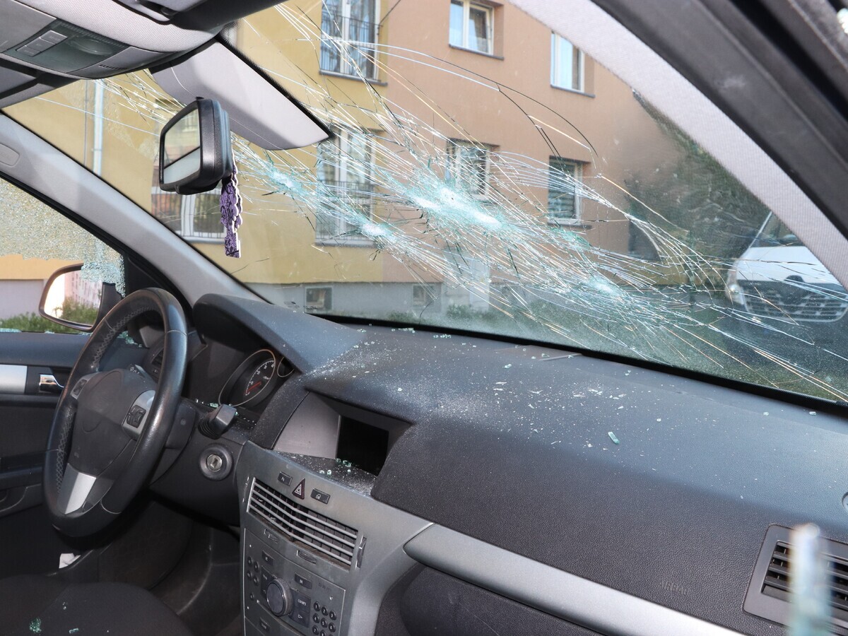 Zatrzymanie wandala, Knurów