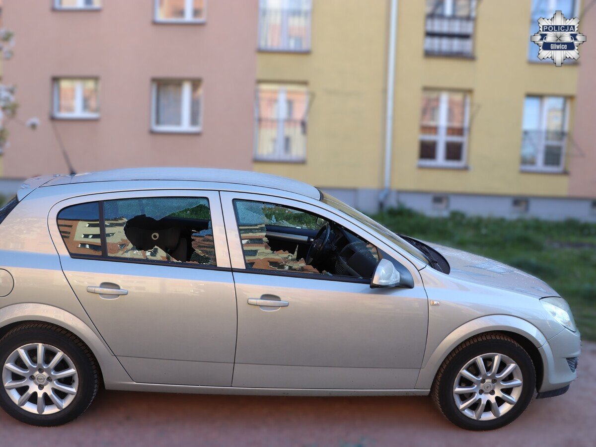 Zatrzymanie wandala Knurow 3