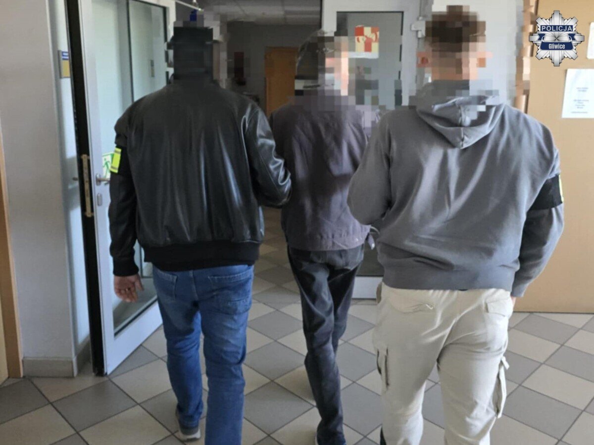 Zatrzymanie wandala Knurow 5