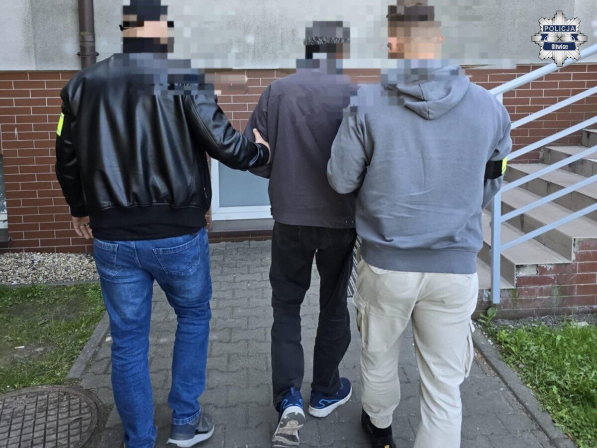 Zatrzymanie wandala Knurow 6