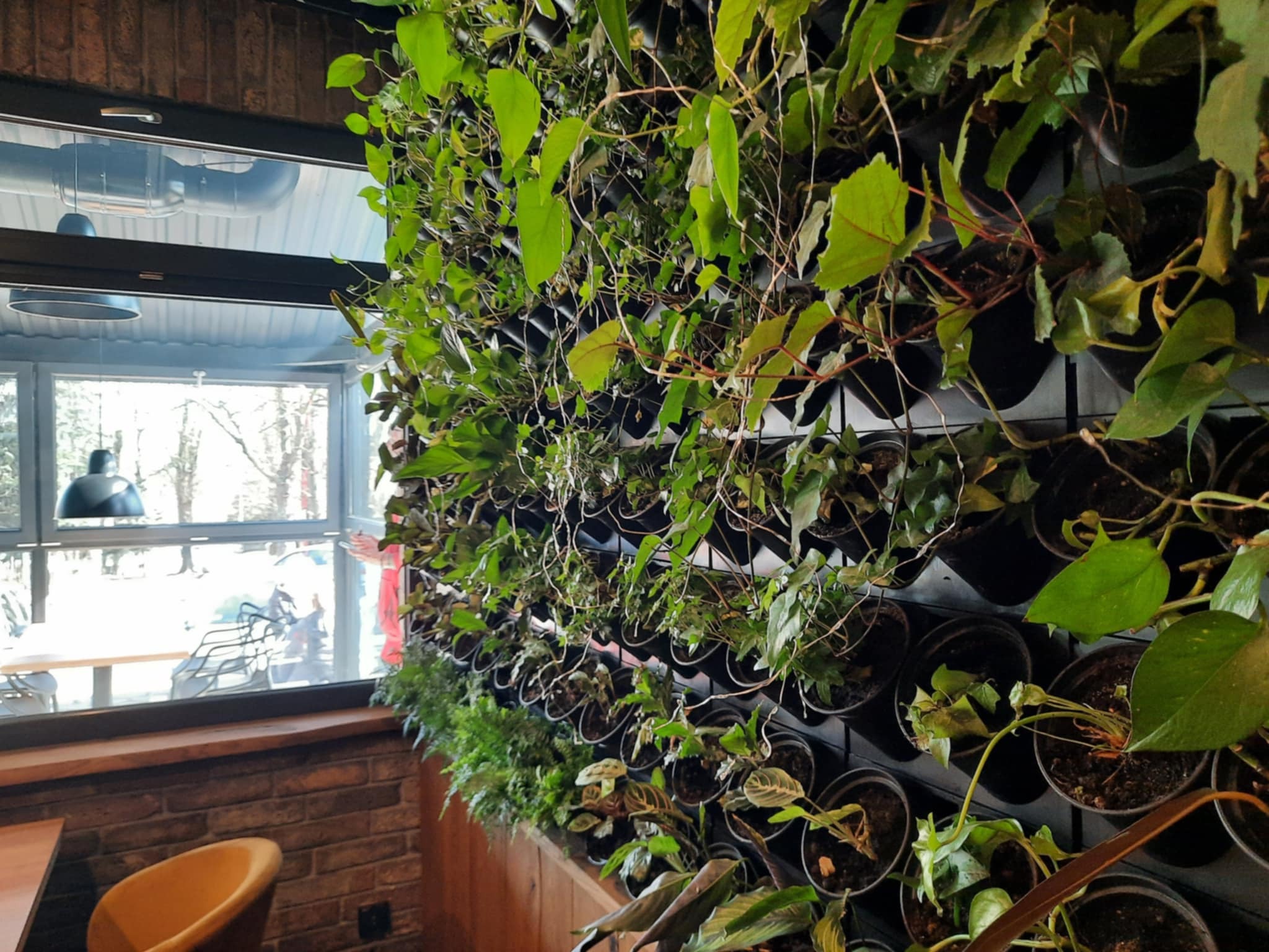 Restauracja Żebrownia, Katowice