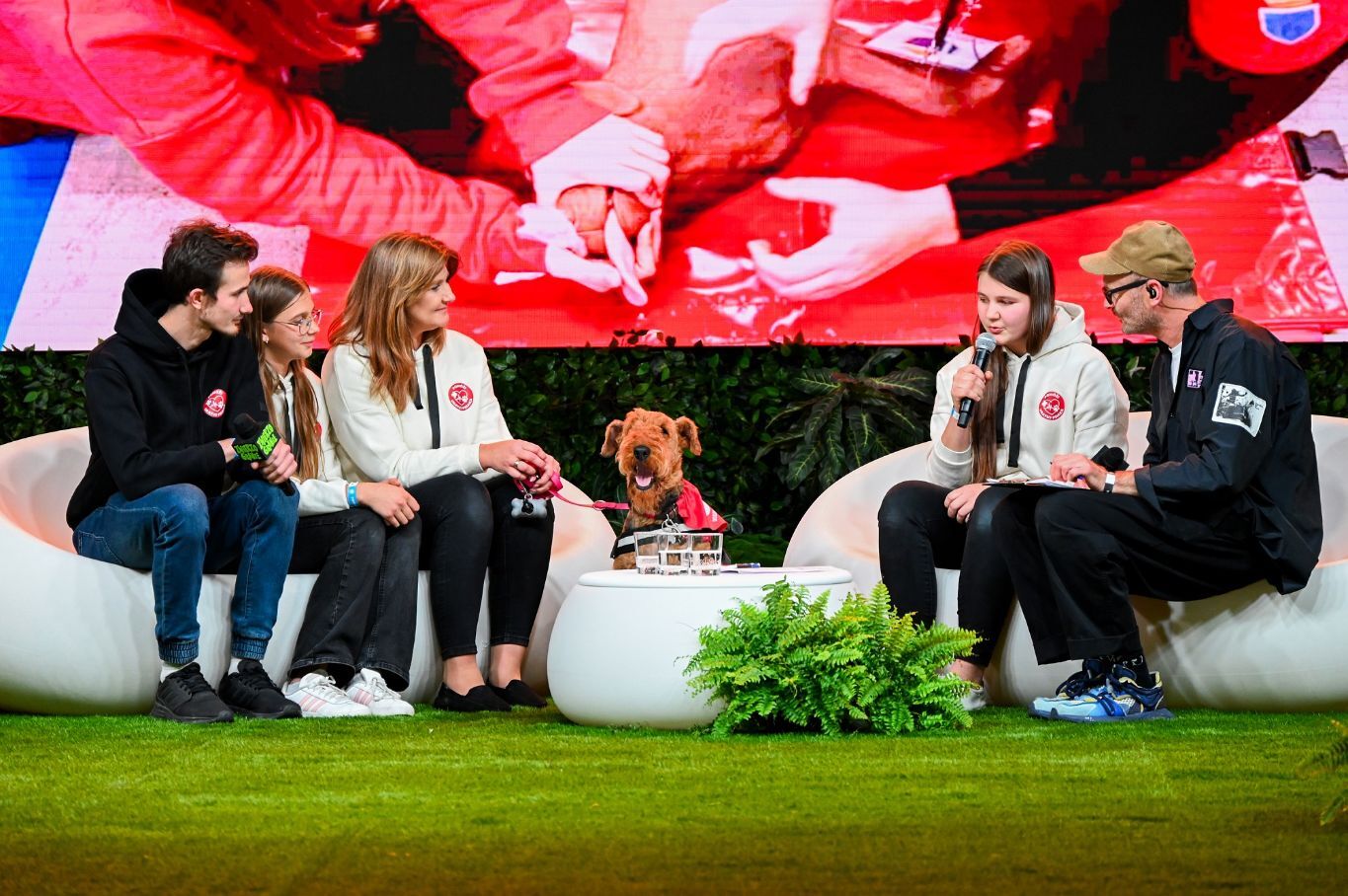 „Zwierzogranie”. I odsłona