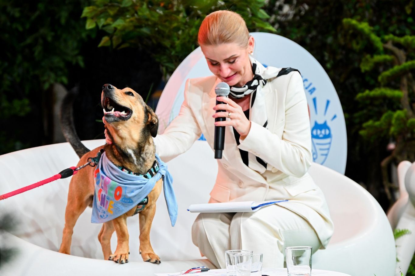 „Zwierzogranie”. I odsłona