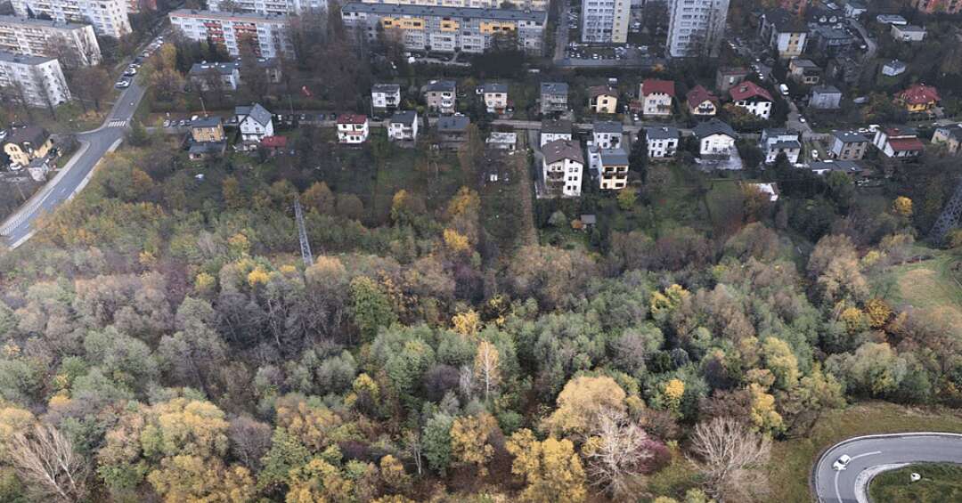 Aż 28 milionów złotych dofinansowania. W Śląskiem powstaną nowe parki i zielone miejsca wypoczynku dla mieszkańców