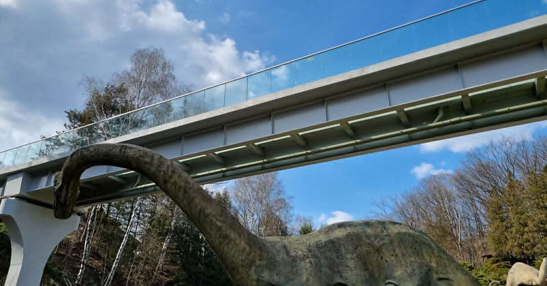Rok z kładką nad Kotliną Dinozaurów. Nowa perspektywa na kultowe miejsce w chorzowskim zoo