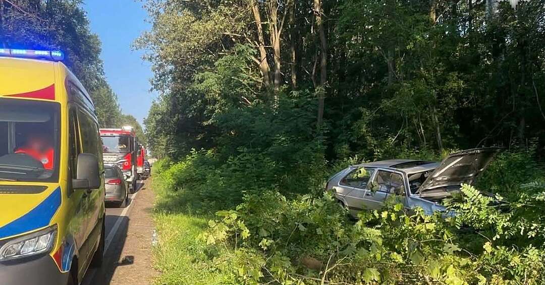 Dachowanie po zderzeniu z dzikiem w Nowym Chechle. 27‑latek trafił do szpitala