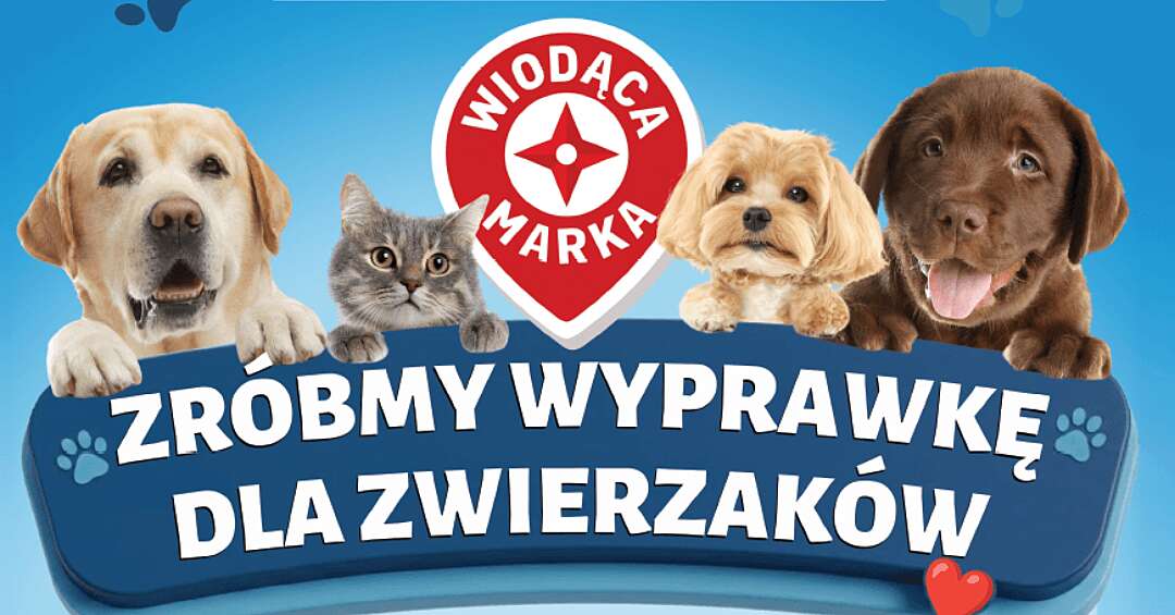 Trzeci produkt za grosz, cały zysk dla zwierząt. Zbiórka karmy w chorzowskim Leclercu