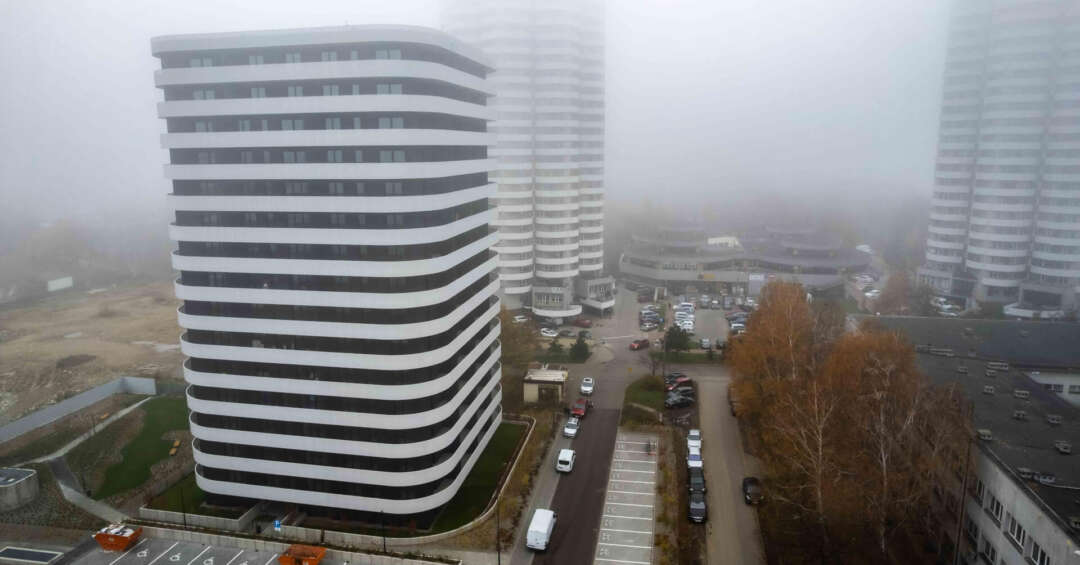 Katowickie kukurydze na Os. Tysiąclecia mają nowych sąsiadów