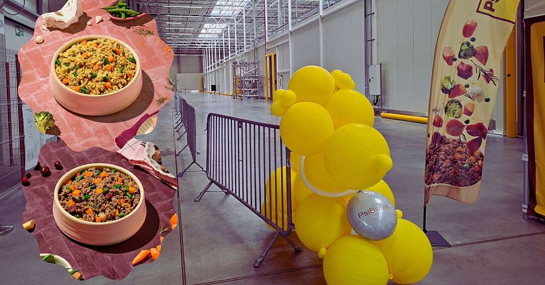 300 osób produkuje jedzenie dla psów w Zabrzu. Otwarto zakład marki PsiBufet na terenie Katowickiej Specjalnej Strefy Ekonomicznej