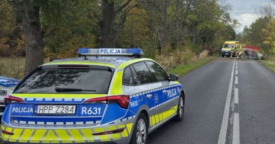 Tragiczny wypadek na leśnej drodze. Osobówka wjechała w drzewo, kierowca zginął na miejscu