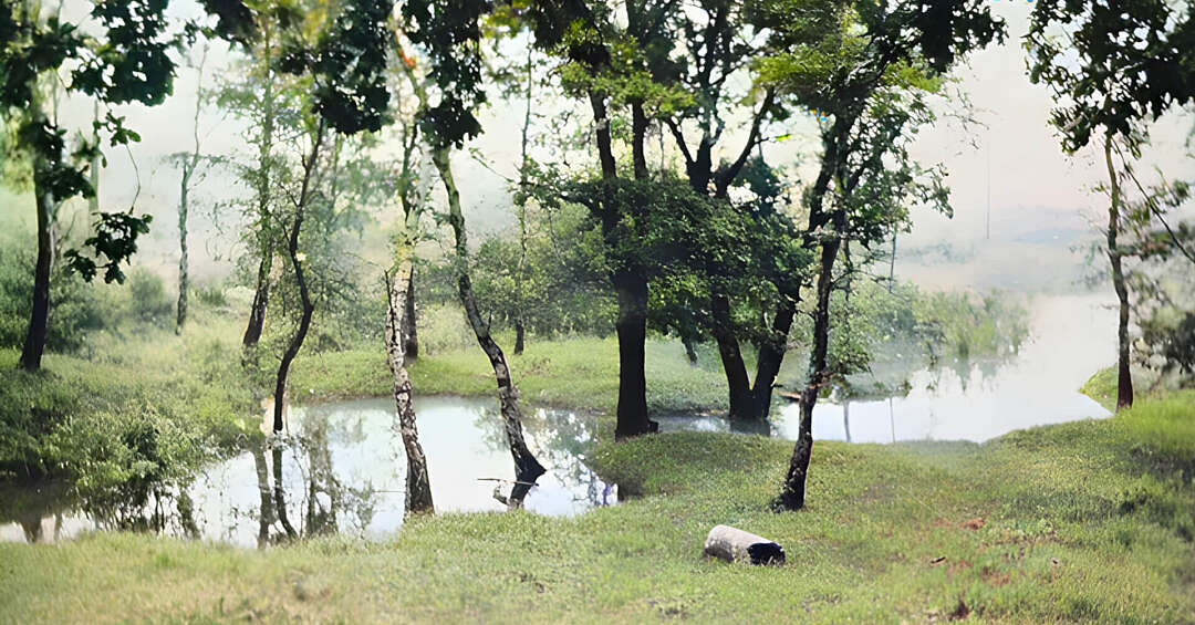 Co jest najstarsze w Parku Śląskim? Woda, która pamięta!