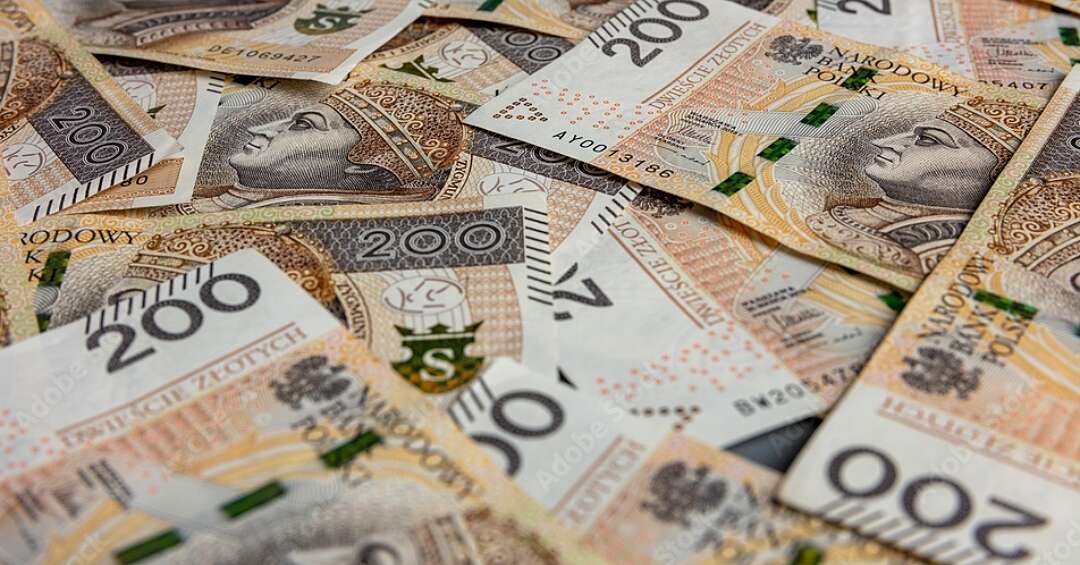 Wyłudzili kredyty na 3,5 mln zł. Zarzuty dla ponad 100 osób z woj. śląskiego