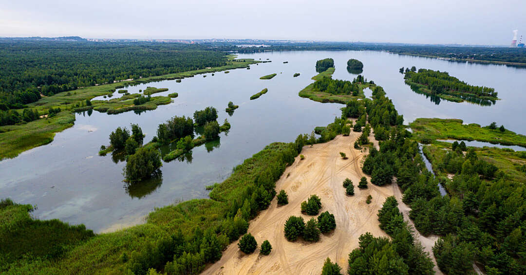 Dzika natura, szalone widoki i złoty piasek. Czy zalew Kuźnica Warężyńska, zwana Pogorią IV, jest najpiękniejszym zbiornikiem wodnym Zagłębia?