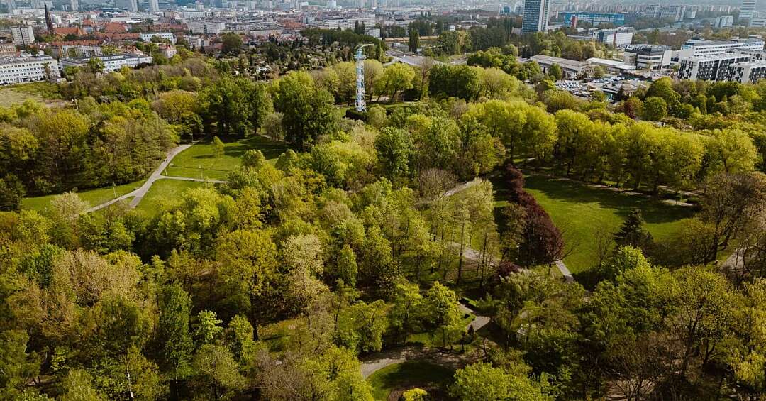 Piknik Offline w Parku Kościuszki. Katowice, odłóżcie telefony!