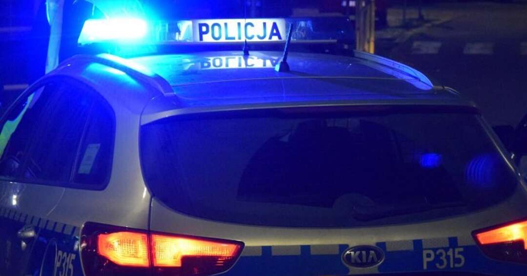Ktoś porzucił w reklamówce umierającego królika - policja szuka sprawcy!
