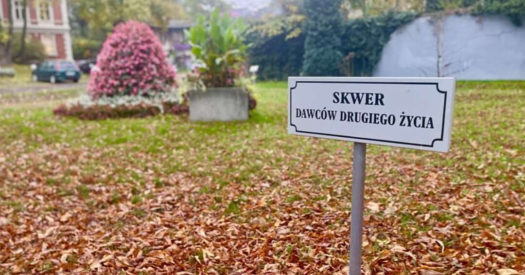 Studenci Akademii Śląskiej zaprojektują Skwer Dawców Drugiego Życia w Zabrzu