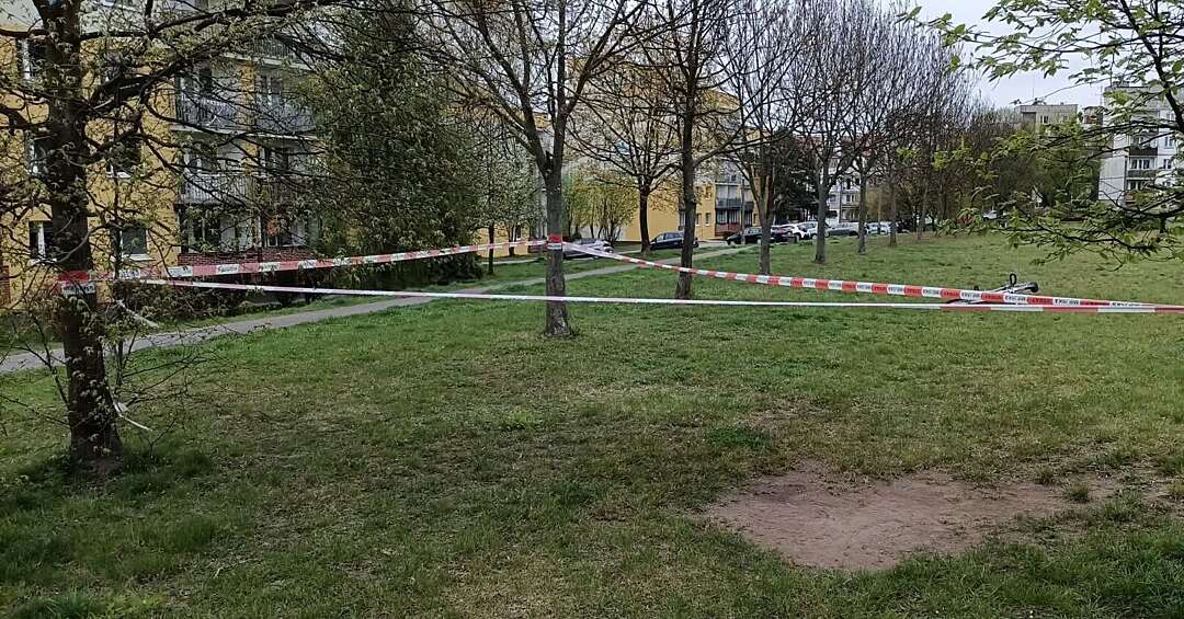 "Dobry sąsiad" rozsypał potłuczone szkło w miejscu, gdzie bawią się dzieci i chodzą psy