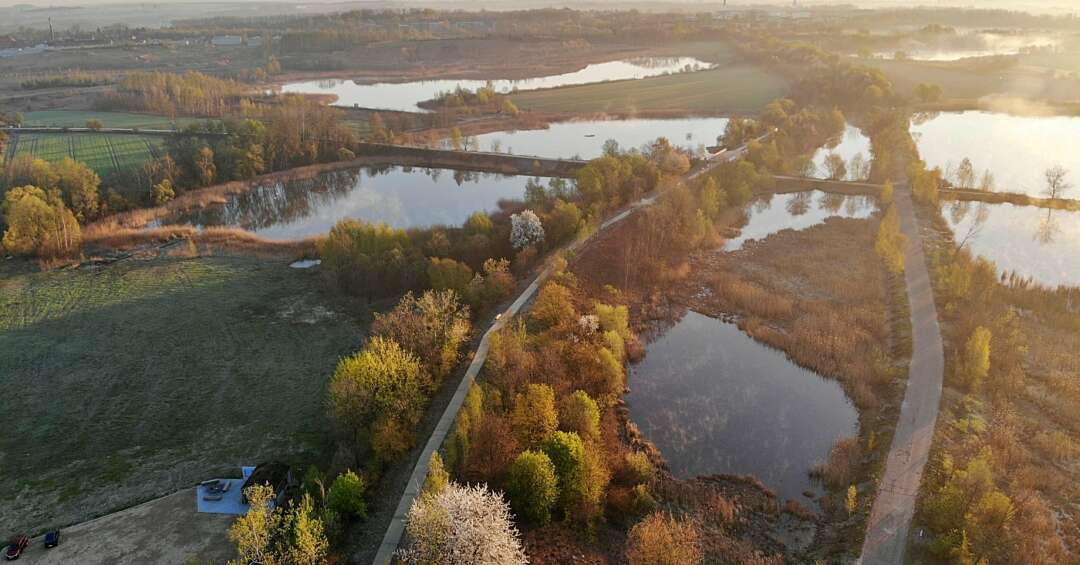 Żabie Doły na trójstyku Bytomia, Chorzowa i Piekar Śląskich. Wyjątkowe miejsce, które przyroda odzyskała od przemysłu
