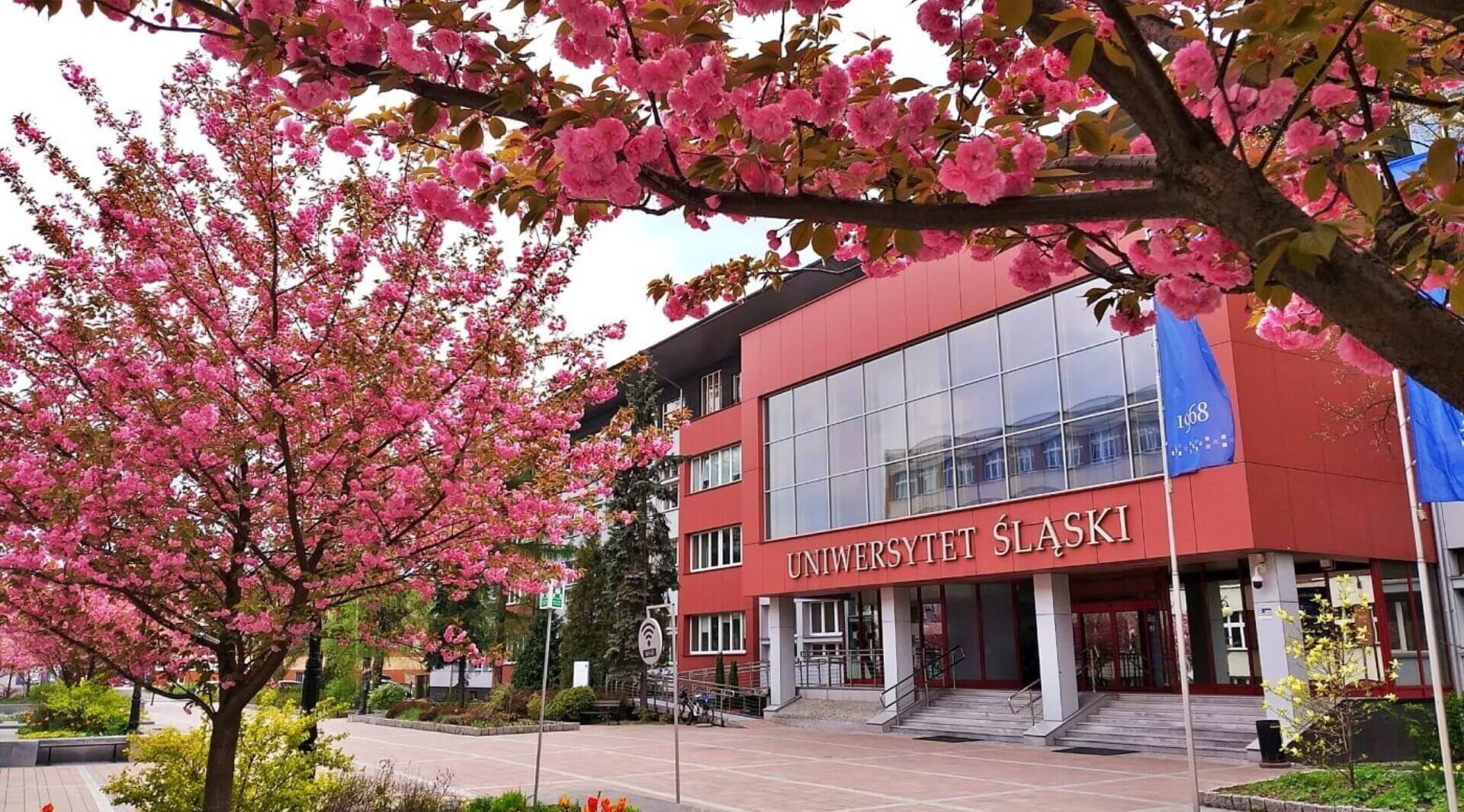 Uniwersytet slaski Uniwersytet slaski
