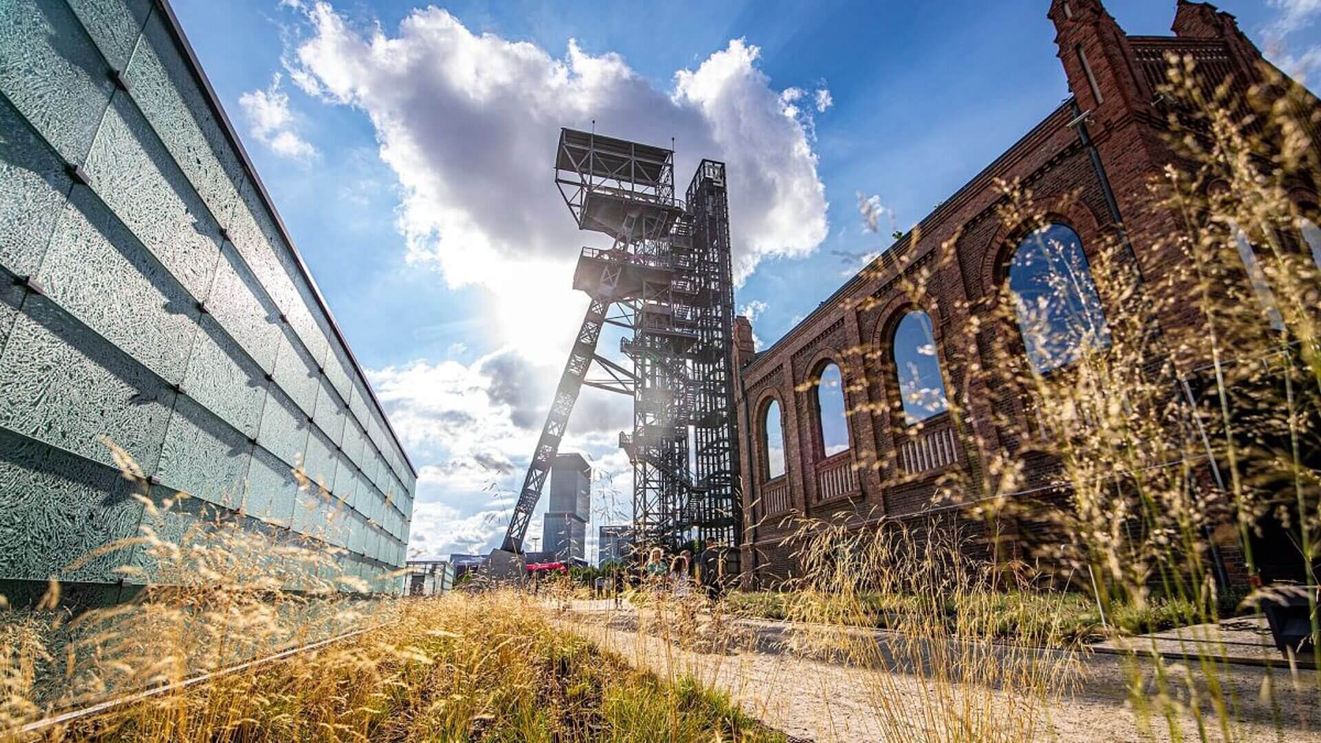 Kierunek gzm Kierunek gzm