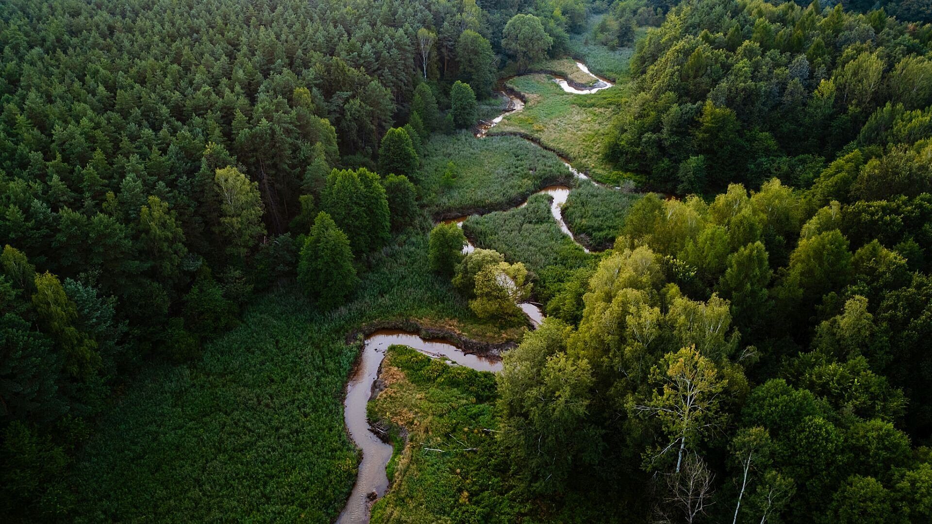 Klodnica rzeka meandry ruda slaskajpg Klodnica rzeka meandry ruda slaskajpg