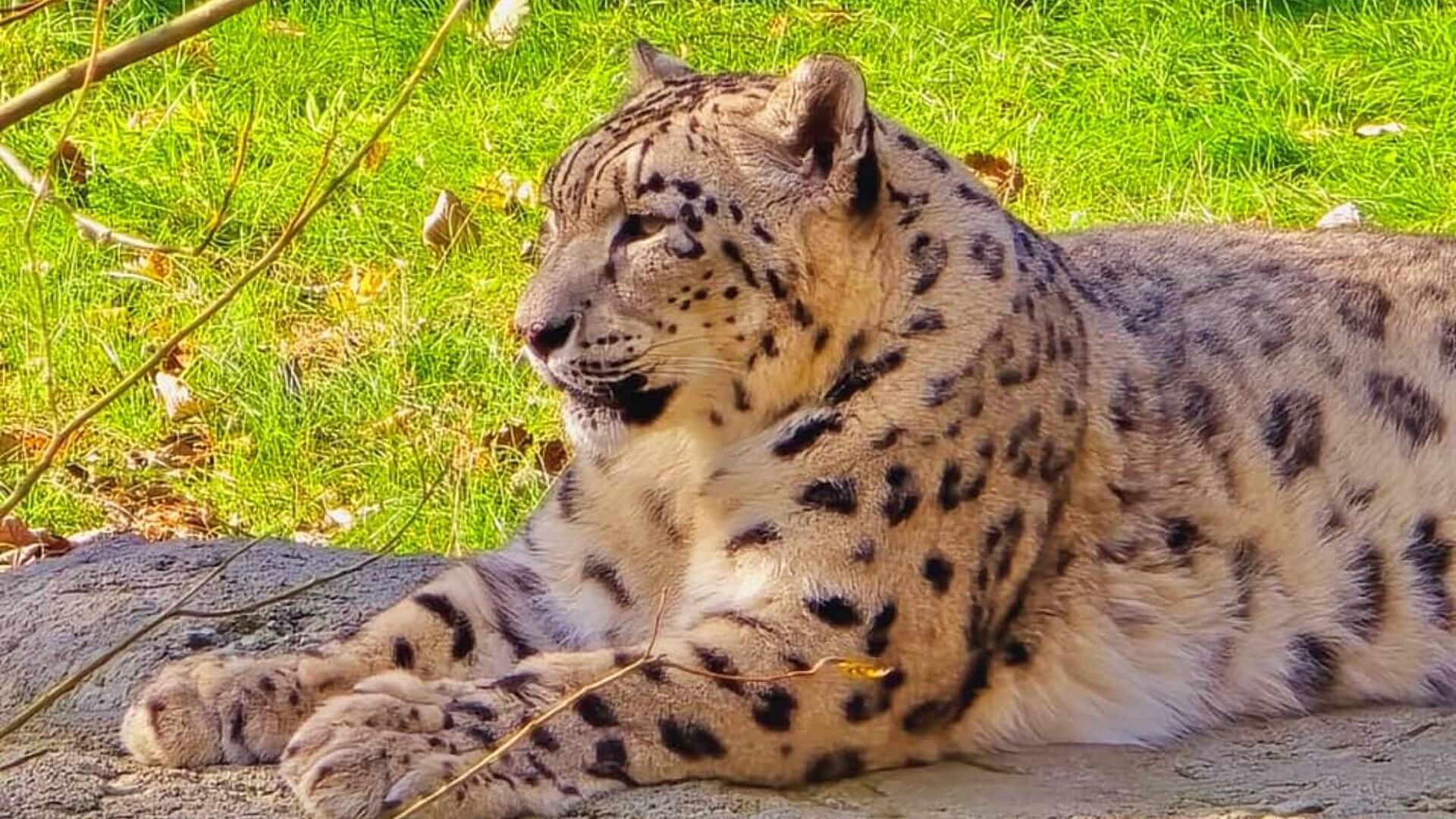 Slaski ogrod zoologiczny Slaski ogrod zoologiczny