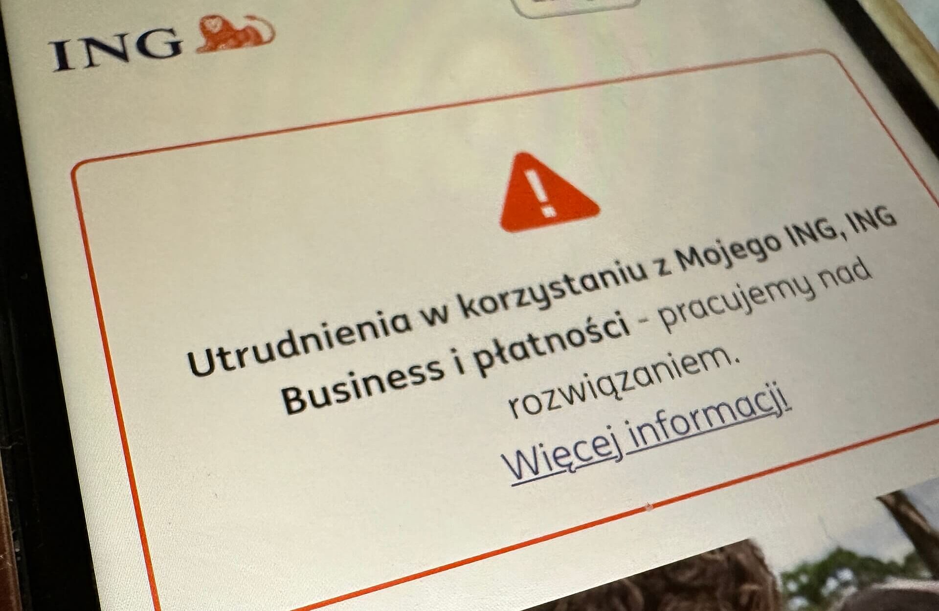 Duża awaria w ING. Klienci banku zgłaszają problemy z logowaniem do