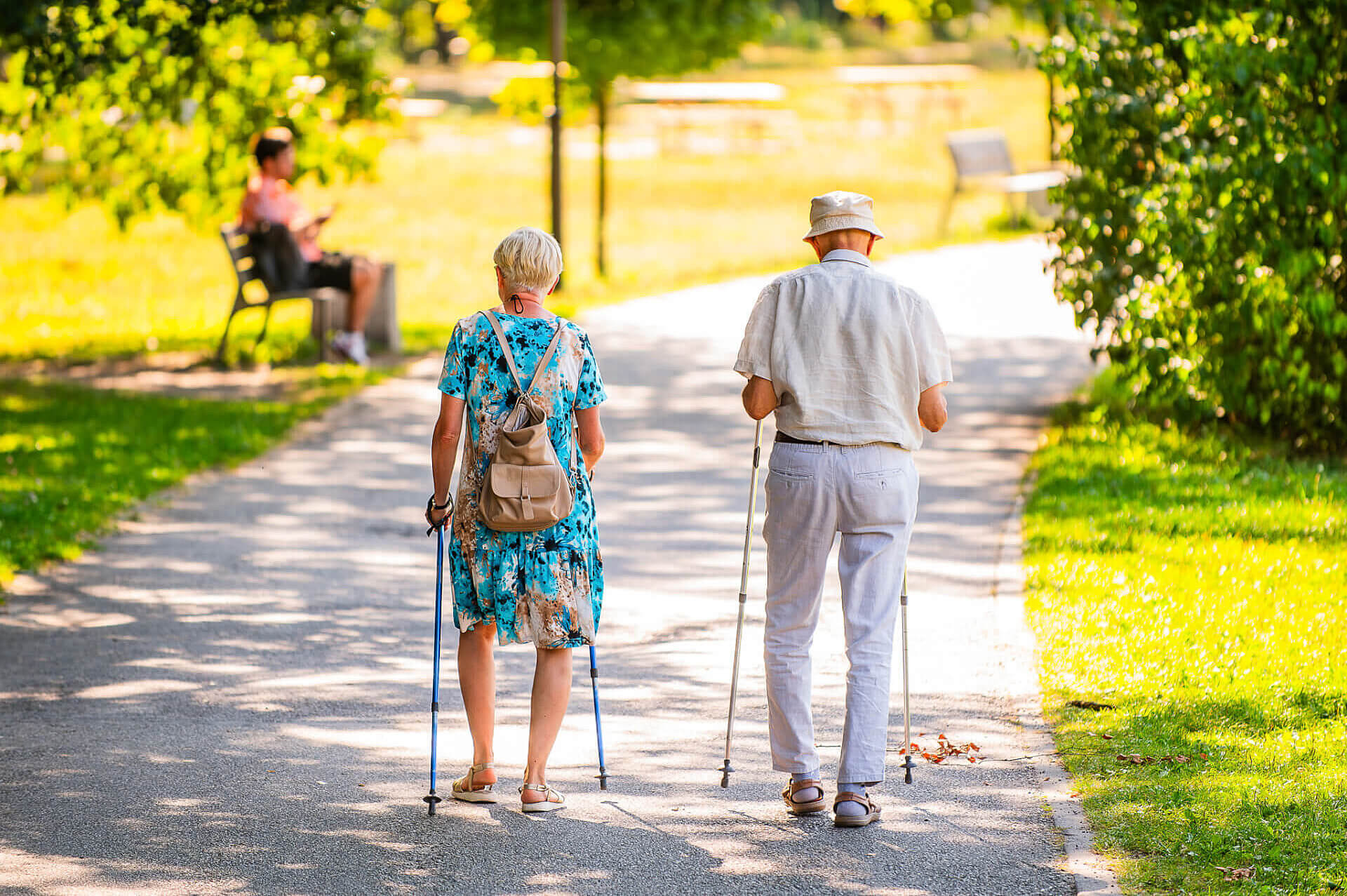 Seniorzy Katowice Seniorzy Katowice