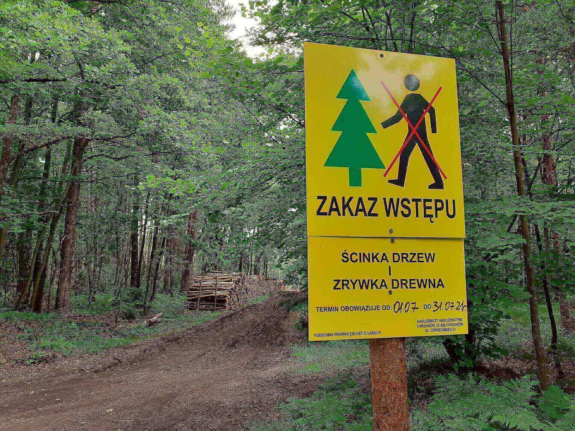 Las wycinka zakaz wstepu do lasu Las wycinka zakaz wstepu do lasu