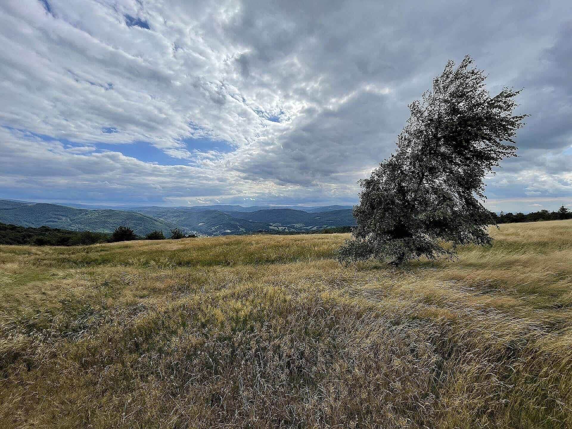The Loop prowadzi między innymi przez Błatnią The Loop prowadzi między innymi przez Błatnią