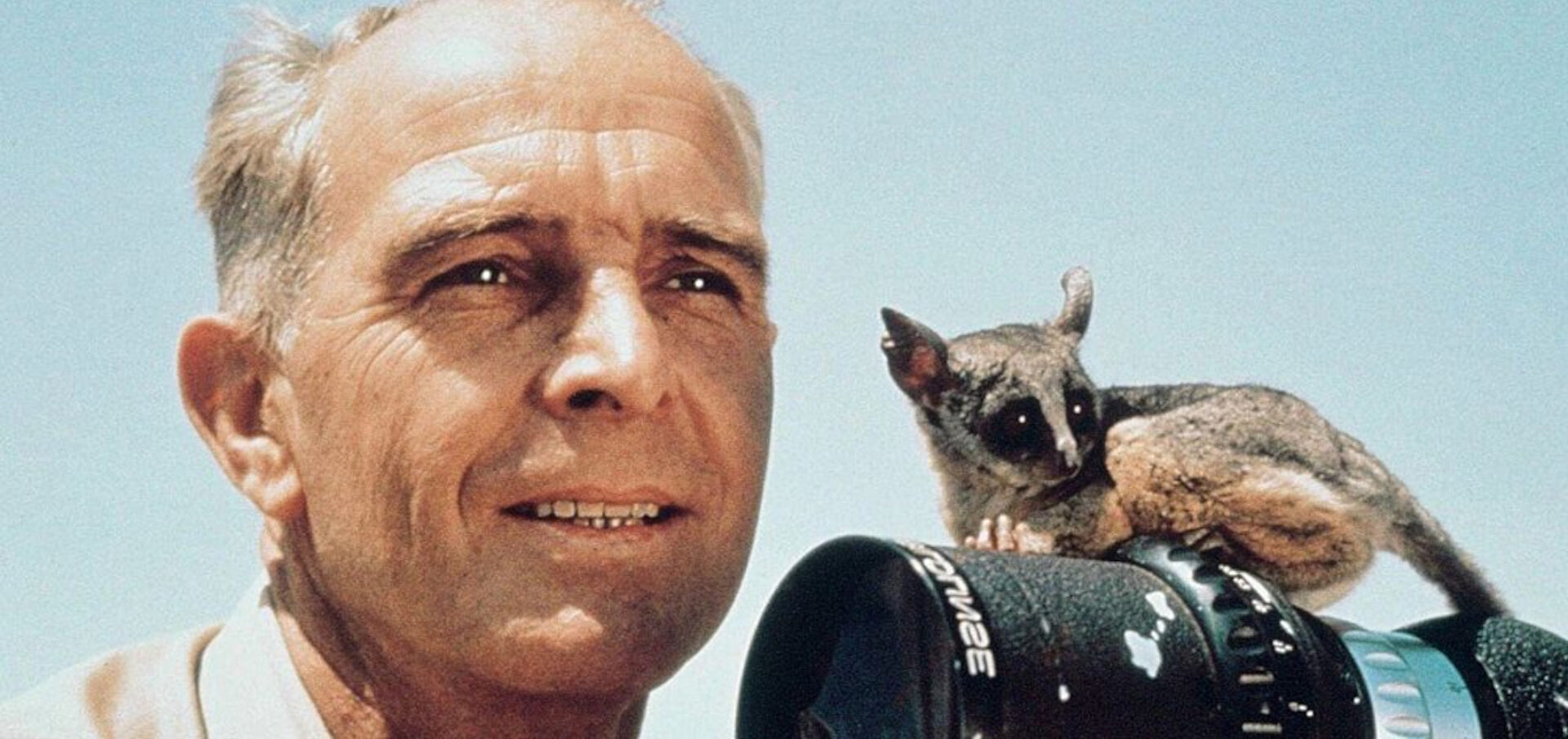 Bernhard Grzimek Serengeti Bernhard Grzimek Serengeti