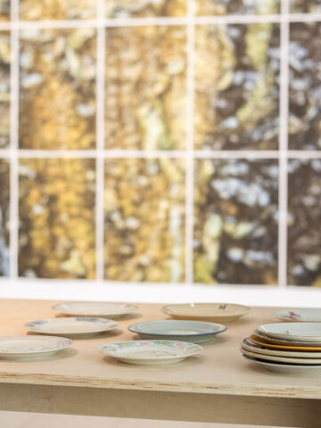 Widoki z bliska, widok wystawy, fot. M.Jędrzejowski. Widoki z bliska, widok wystawy, fot. M.Jędrzejowski.