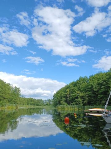 20220710 164815 20220710 164815