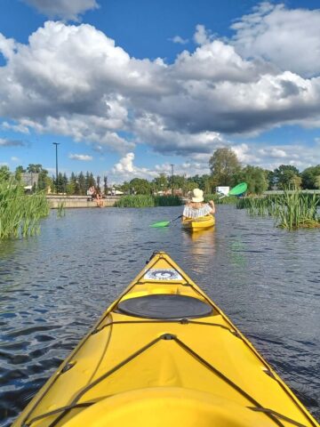 20230714 173535 20230714 173535