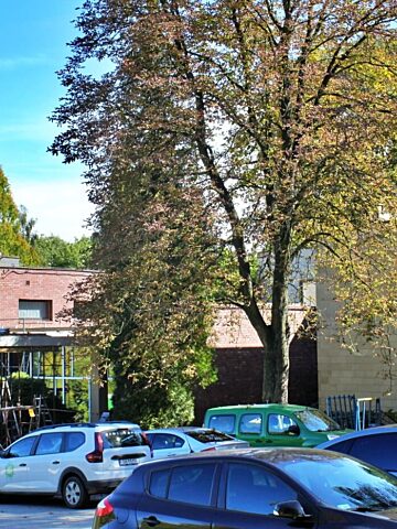 Park slaski budynek dyrekcji 21 Park slaski budynek dyrekcji 21