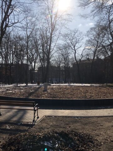 Park im. Mariana Maliny w Sosnowcu. 19 lutego 2025. Park im. Mariana Maliny w Sosnowcu. 19 lutego 2025.