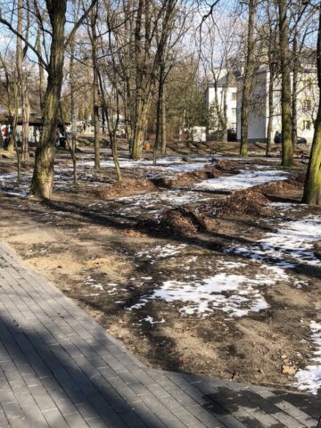 Park im. Mariana Maliny w Sosnowcu. 19 lutego 2025. Park im. Mariana Maliny w Sosnowcu. 19 lutego 2025.