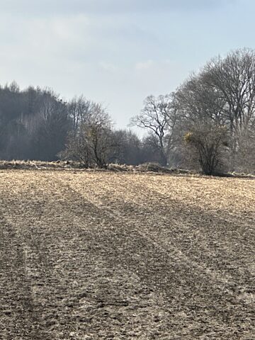 Pola i rezerwat Segiet Pola i rezerwat Segiet