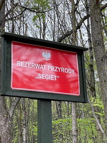 Rezerwat Segiet wiosną Rezerwat Segiet wiosną