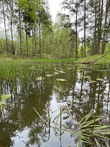 Rezerwat Segiet wiosną Rezerwat Segiet wiosną